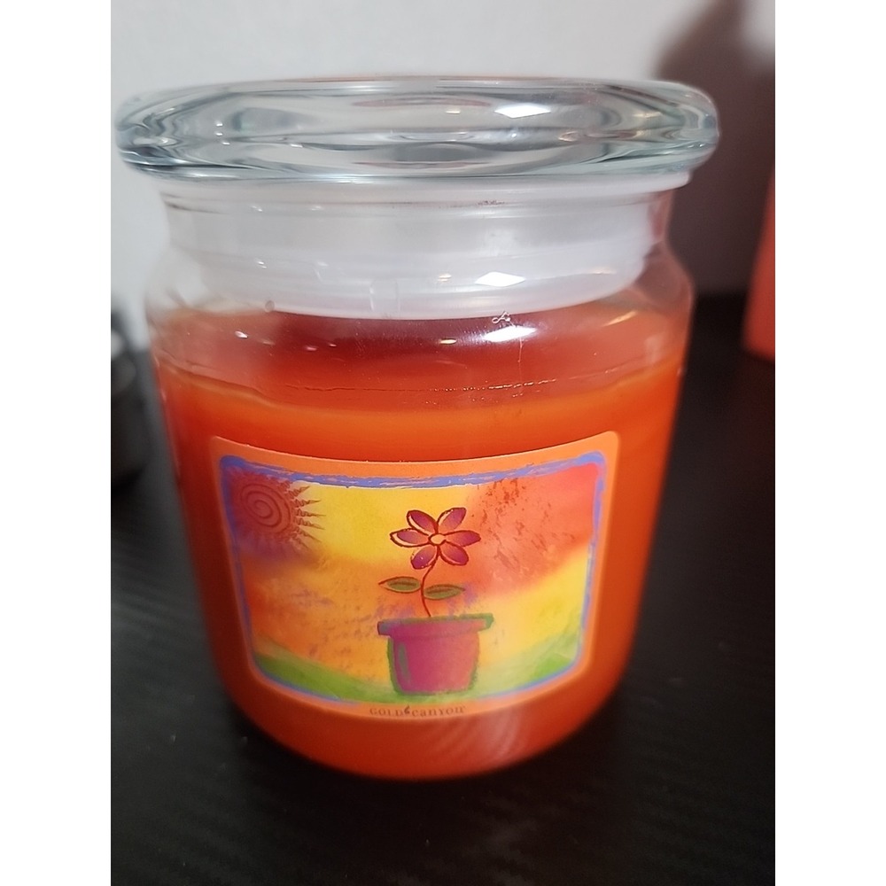 New Gold Canyon Candle Large 18oz "Citrus Cream" Rare OOP